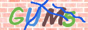 キャプチャ画像
