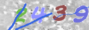 キャプチャ画像