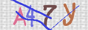 キャプチャ画像