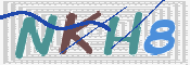 キャプチャ画像